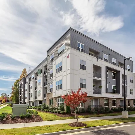 Kasa Freemorewest Charlotte